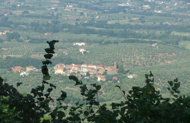 Podere Calistri Larciano Exterior foto